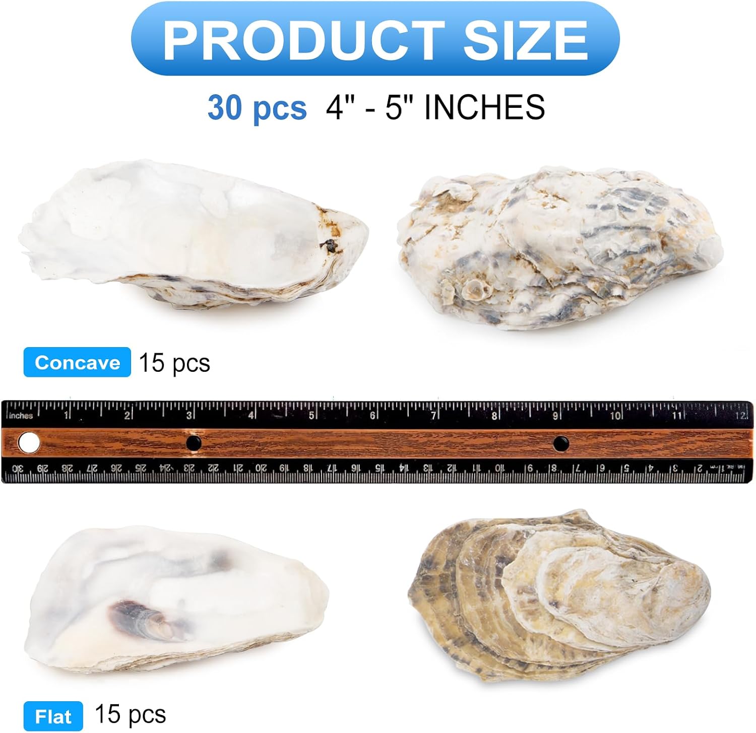 QEQEKAKA 30PCS Oyster Shells Flat & Concave 4"-5" Large Oyster Shells for Crafts Natural Oyster Shells Bulk, for Home Vase Filler, Xmas Ornaments, DIY Arts and Crafts Sea Shells