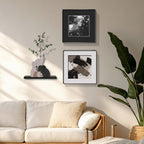 3-piece Bohemian gallery wall decoration set, 2 high-definition crystal porcelain frame abstract prints+wooden elephant sculptures+artificial green plants, soft black border frame, minimalist wall art for living room and bedroom entrances