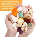 Sea Shell Mixed Ocean Shells Set, 15 Kinds 1.2"-2.7" Various Sizes Natural Seashell & Starfish for Beach Themed Decor, DIY Crafts, Vase Fillers, Fish Tank, Home, Wedding and Party Decoration