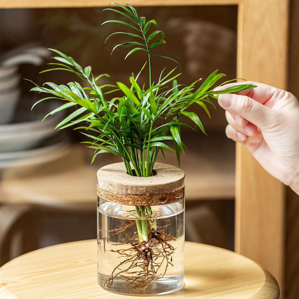 Plant Propagation Stations for Plants, 2 Size Glass Propagation Vases for Propagating Hydroponic Indoor Home Office Decor, Tabletop Glass Planter Gift for Plant Lovers (6)