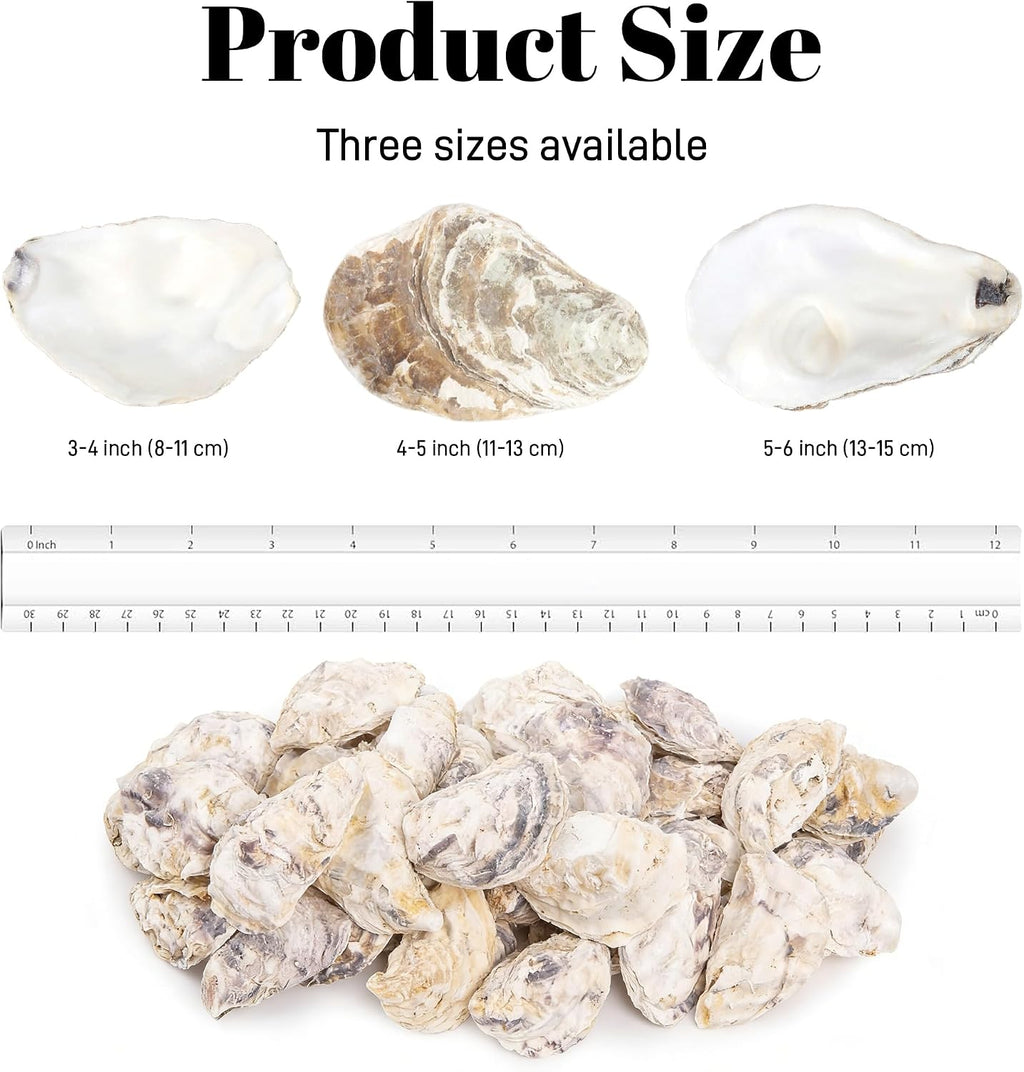 YATOJUZI 4"-5" Oyster Shells 10PCS Natural Oyster Shells for Crafts Vase Fillers Bulk Wholesale DIY Accessories Sea Shells Home Arts Decor Ornaments