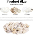 YATOJUZI 4"-5" Oyster Shells 10PCS Natural Oyster Shells for Crafts Vase Fillers Bulk Wholesale DIY Accessories Sea Shells Home Arts Decor Ornaments