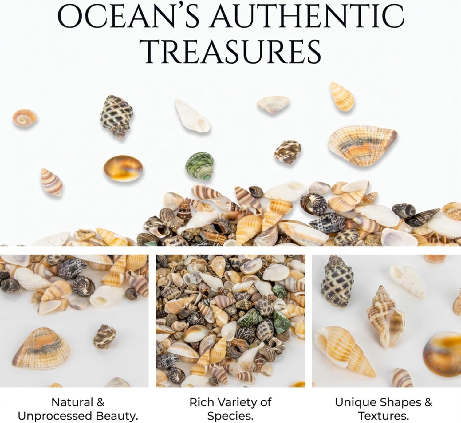 MAQIHAN Tiny Seashells for Crafts - Small Sea Shells Mixed Ocean Beach Shells Bulk for Home Decorations Wedding Decor Beach Theme Party Vase Filler (0.2-0.8 in, 314 Grams)