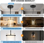 Biewalk Black Pendant Lights Kitchen Island with 10.2" Clear Glass Shade, Adjustable Modern Pendant Lighting Over Sink with LED, Minimalist Hanging Light Fixture for Dining Room Kitchen Bedroom