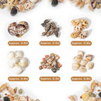 1200 PCS Natural Seashells, Joyfulmap Tiny sea Shells & Small Starfish for Decorations, Mixed Ocean Beach Spiral Shells for Crafting, Fish Tank, Beach Theme Party, Wedding Decor, DIY Craft Supplies