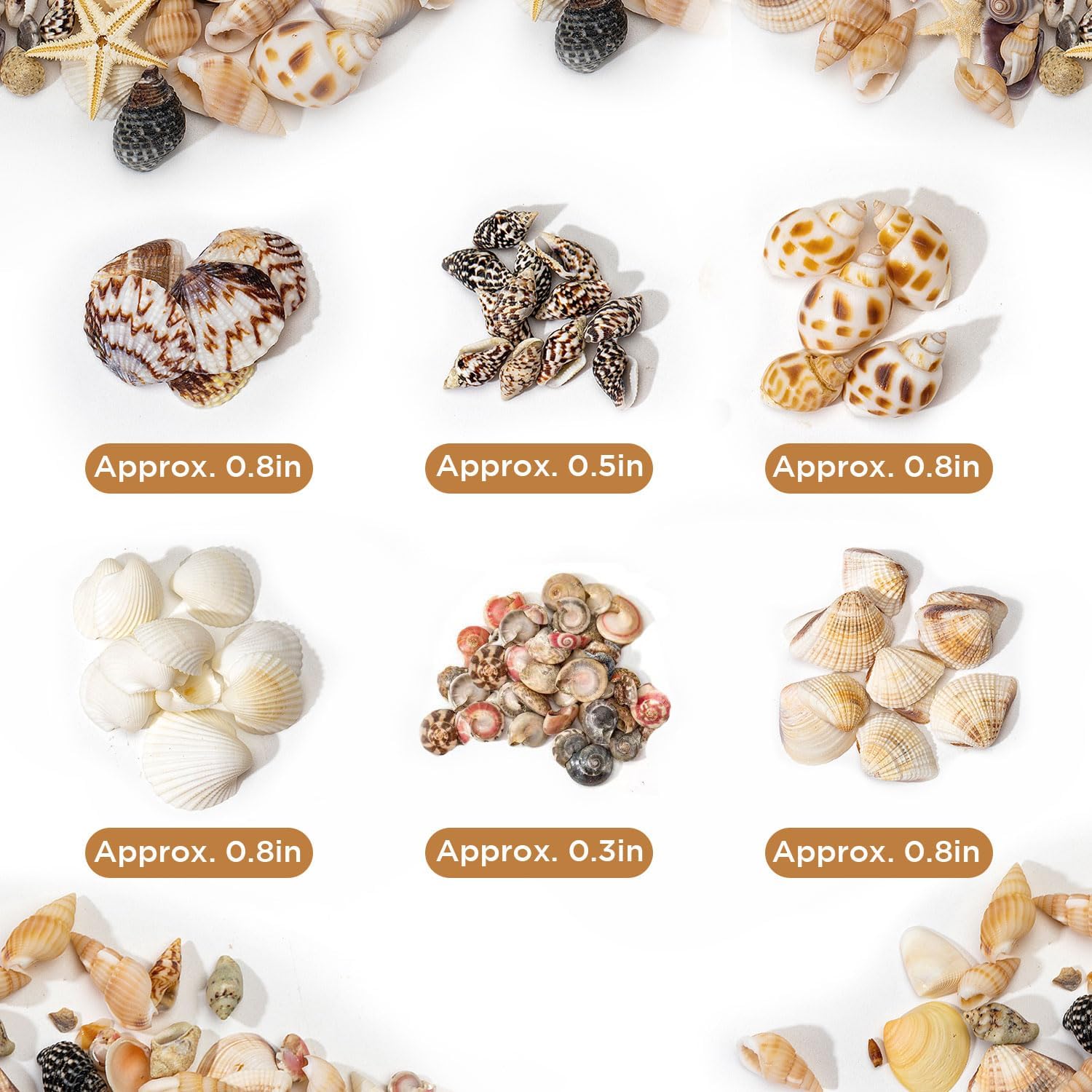 1200 PCS Natural Seashells, Joyfulmap Tiny sea Shells & Small Starfish for Decorations, Mixed Ocean Beach Spiral Shells for Crafting, Fish Tank, Beach Theme Party, Wedding Decor, DIY Craft Supplies