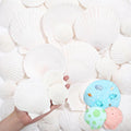 YATOJUZI 24PCS Natural Sea Shells for Crafting Decorating Scallop Seashells Vase Fillers Bulk Wholesale DIY Accessories Home Arts Decor Ornaments(6PCS 4-5inch & 18PCS 2-3inch)