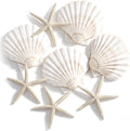 PPCLION 8 PCS Natural 4-5" Scallop Shell and Starfish for Crafts Making Beach Theme Party Wedding Decoration, Home Wall Decor, Christmas Ornaments