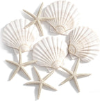 PPCLION 8 PCS Natural 4-5" Scallop Shell and Starfish for Crafts Making Beach Theme Party Wedding Decoration, Home Wall Decor, Christmas Ornaments