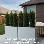 THE BLOOM TIMES Artificial Topiary Cedar Trees Outdoor 4FT Tall 2 Set, Realistic Faux Pine Cypress Shrubs Bushes, UV Resistant Large Fake Evergreen Plants for Front Porch Outside Planter Decor 4 Foot