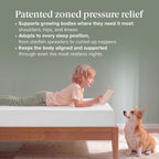 Zinus Green Tea Memory Foam Mattress 6 Inch, Pressure-Relieving Comfort & Full-Body Support, Naturally Fresh, Medium Firm Feel, CertiPUR-US & Oeko-TEX Certified Safe Materials, Twin