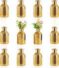 NUPTIO Bud Vases Small Gold: 12 Pcs Glass Vase Set in Bulk for Flowers - Mini Vintage Flower Bottle Single Vases for Wedding Table Centerpieces
