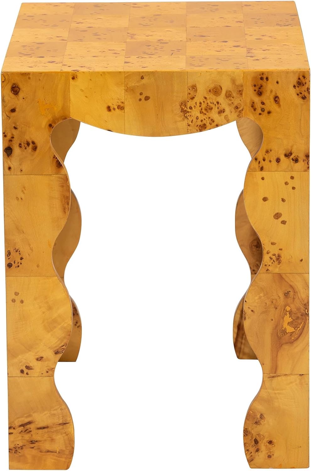 Bali & pari Huxley Modern and Contemporary Real Burl Wood End Table
