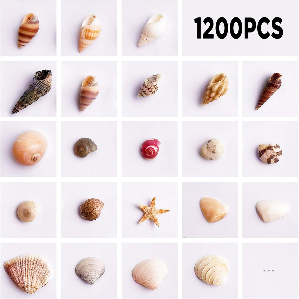 1200 PCS Tiny Sea Shells &10 Small Starfish - Mixed Ocean Beach Spiral Seashells for Fish Tank and Vase Filler, Beach Theme Party, Wedding Decor - DIY Craft Supplies