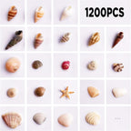 1200 PCS Tiny Sea Shells &10 Small Starfish - Mixed Ocean Beach Spiral Seashells for Fish Tank and Vase Filler, Beach Theme Party, Wedding Decor - DIY Craft Supplies