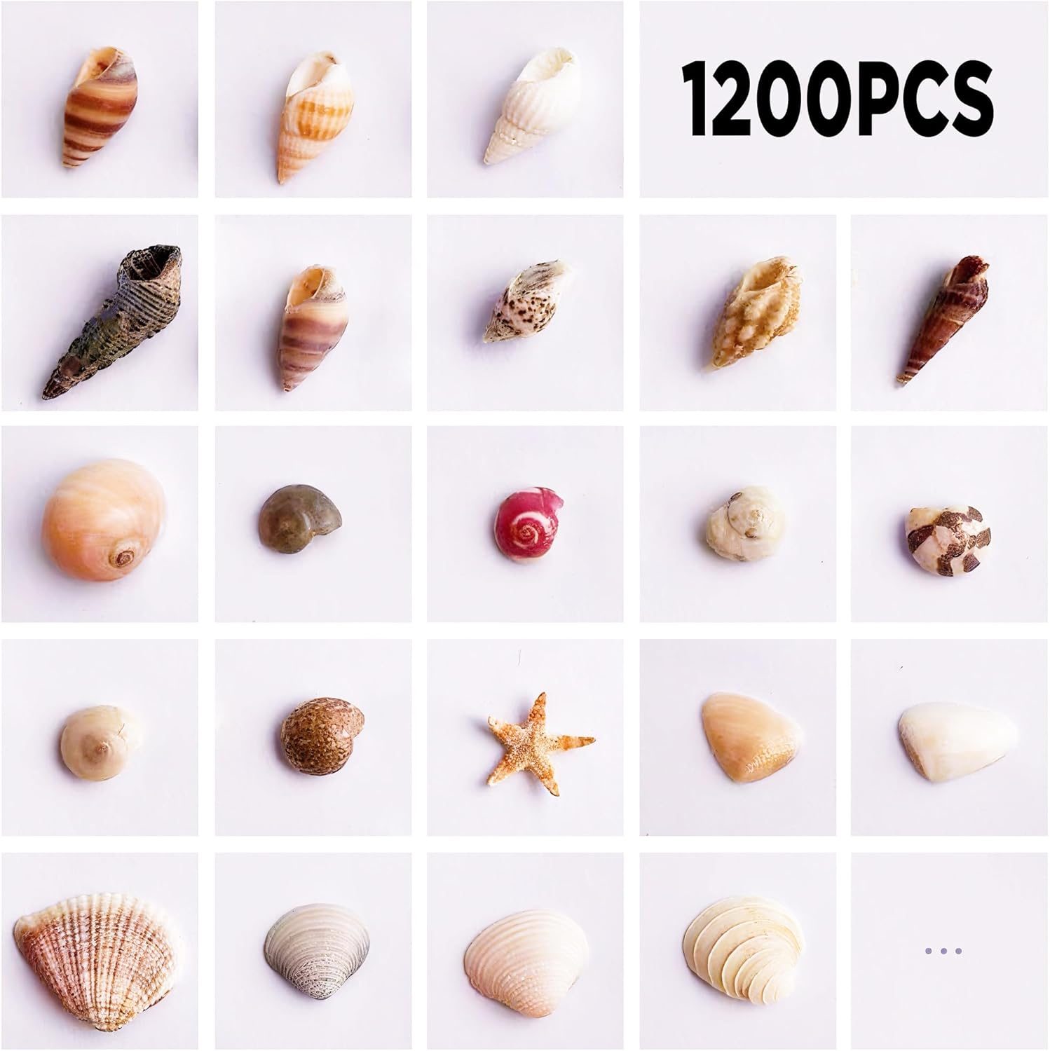 1200 PCS Tiny Sea Shells &10 Small Starfish - Mixed Ocean Beach Spiral Seashells for Fish Tank and Vase Filler, Beach Theme Party, Wedding Decor - DIY Craft Supplies