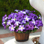 FULLMUSIC Spring Artificial Flowers for Outdoors, UV Resistant Fake Morning Glory, Look Real Faux Silk Plants for Front Door Garden Porch Planter