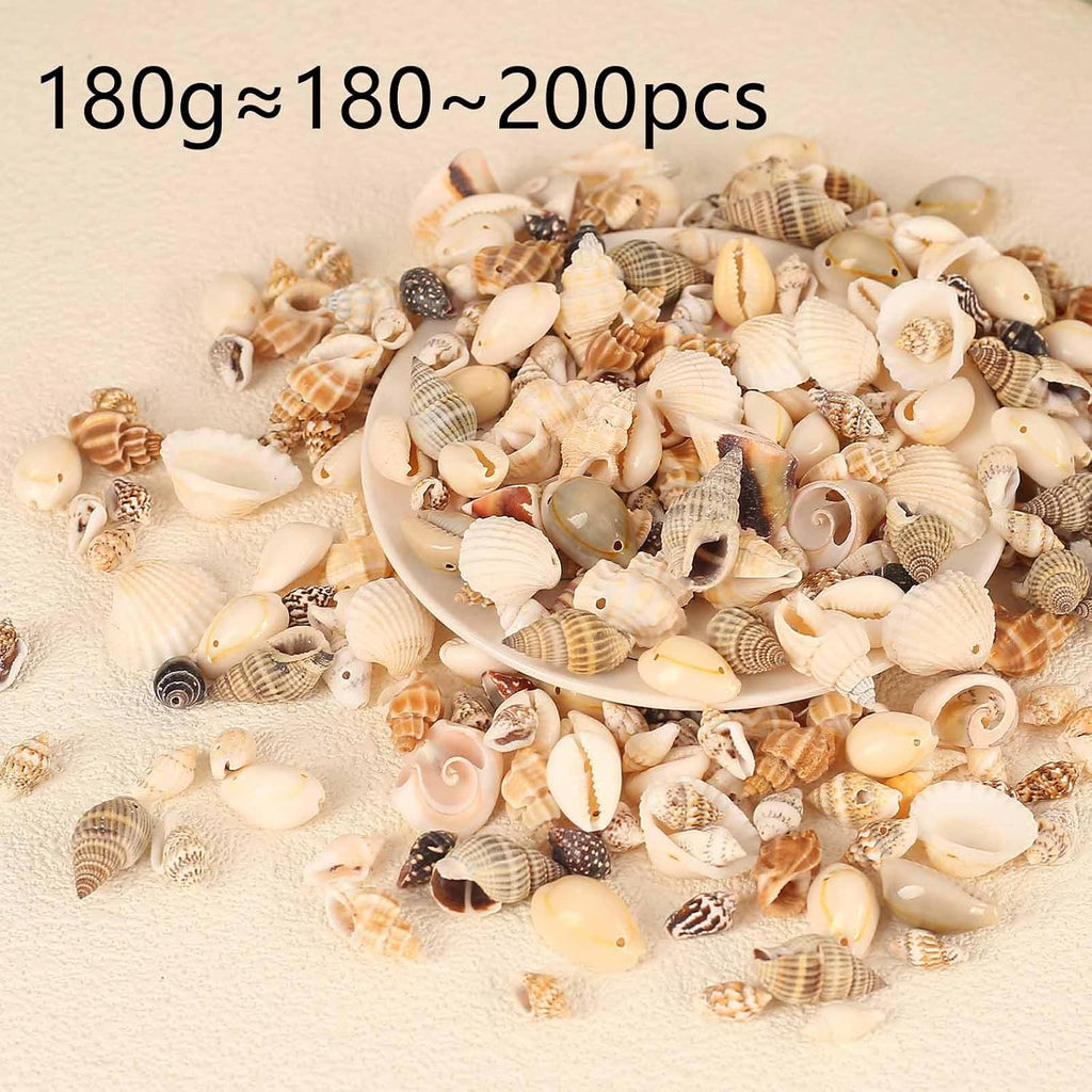 180g Sea Shells Mixed Ocean Beach Seashells Tiny Natural Spiral Seashells for Home Wedding Decorations Fishtank Vase Fillers Candle Making DIY Jewelry Making
