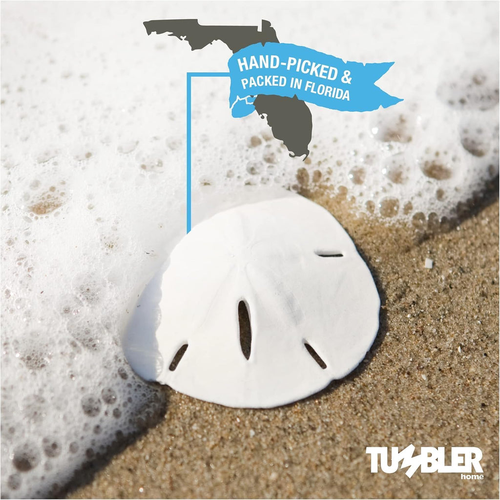 Tumbler Home Real Sand Dollars 1.25" - 1.5" Inch (30 Pack), Natural White Sand Dollars for Crafts, Bulk Florida Sanddollar Shells for DIY Crafts, Beach Wedding Décor, Nautical and Coastal Room Decor
