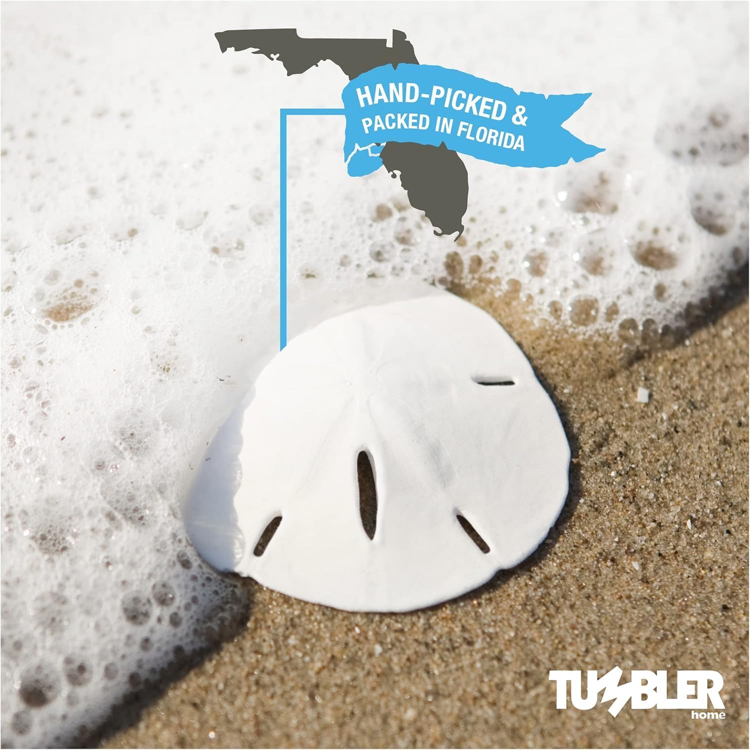 Tumbler Home Real Sand Dollars 1.25" - 1.5" Inch (30 Pack), Natural White Sand Dollars for Crafts, Bulk Florida Sanddollar Shells for DIY Crafts, Beach Wedding Décor, Nautical and Coastal Room Decor