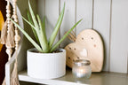 Kurrajong Farmhouse Artificial Plant in White Ceramic Pot | 10" high sage Green Faux Agave Plant | Fake Plant for Desk Decor | Artificial Agave for Home Decor | Artificial Succulent for Shelf Decor