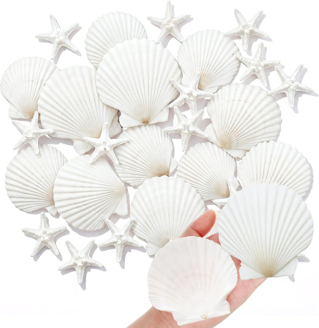 Junkin 40 Pack Natural Scallop Shells and Artificial Starfish for Crafts Sea Shells Decoration 20 Pcs 2.8"-4.3" Seashells & 20 Pcs 2.1" Starfish for DIY Painting Home Wedding Decor(Solid,White)