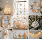 JSPYFITS 2.5-4 Inches Large Starfish and Scallop Shells for Crafts 12PCS, Natural Beach Sea Shells for Crafting, Baking Shells Perfect for White Christmas Decor Beach Party Wedding DIY Crafts