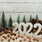 200PCS Christmas Natural Pine Cones Mini Fall Decorations Pinecones Ornaments Bulk Small Pine Cones for DIY Crafts Thanksgiving Fall Winter Christmas Wedding Decor Vase Filler Decor