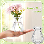 12 Pieces Glass Bud Vases for Centerpieces Bulk 3.5 Inch Mini Flower Bouquets Vases Small Cute Crystal Ribbed Glass Bud in Bulk for Wedding Baby Bridal Shower Table Party Home Decor (Clear)