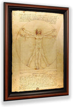 The Vitruvian Man Leonardo Da Vinci, World Famous Wall Art Collection, Fine Art Drawing, Framed Medical Posters for Your Medical Office Decor, Proportions of The Human Figure Drawing, 2453W