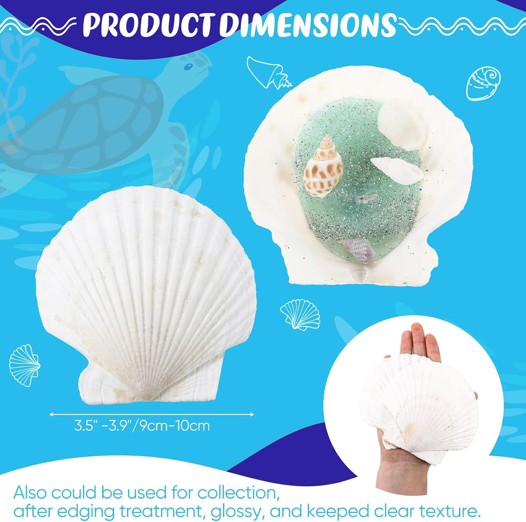 GlikCeil 50 Pcs Sea Shell for Crafting Natural Large Scallop White Oyster Shells Bulk for Decorating DIY Home Decor Beach Wedding Ocean Themed Party(3.5''-3.9'')