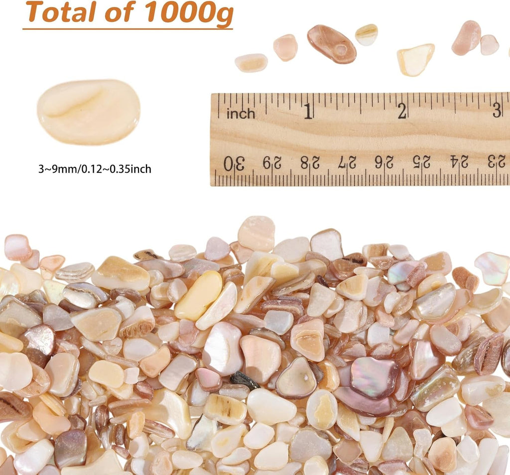 1000g/2.2BL Natural Crushed Shells Chips, 3-9mm Irregular Seashell Fragments, Sea Shell Pieces for DIY Crafts, Vase Filler, Home Décor, Art Projects, Beige Mosaic Decoration