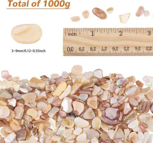 1000g/2.2BL Natural Crushed Shells Chips, 3-9mm Irregular Seashell Fragments, Sea Shell Pieces for DIY Crafts, Vase Filler, Home Décor, Art Projects, Beige Mosaic Decoration