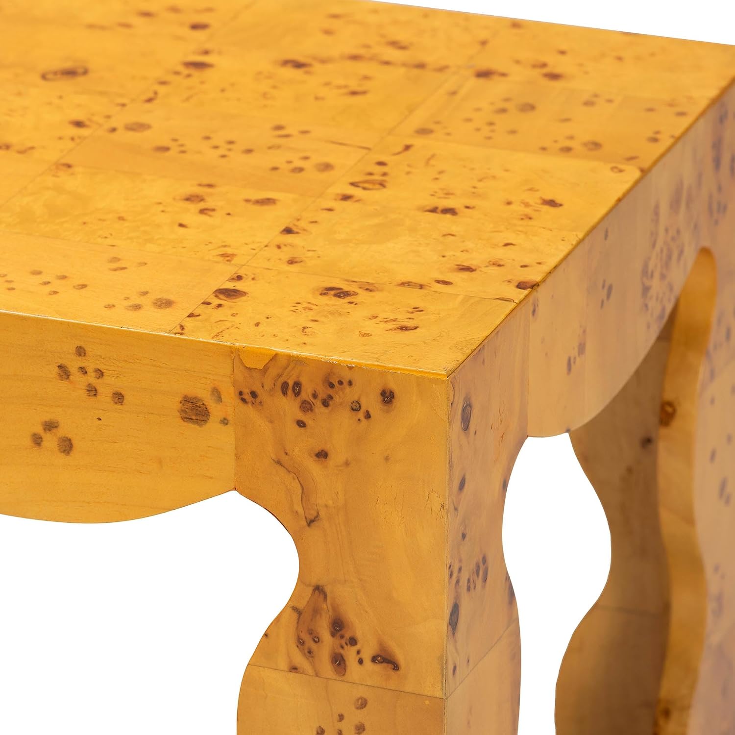 Bali & pari Huxley Modern and Contemporary Real Burl Wood End Table