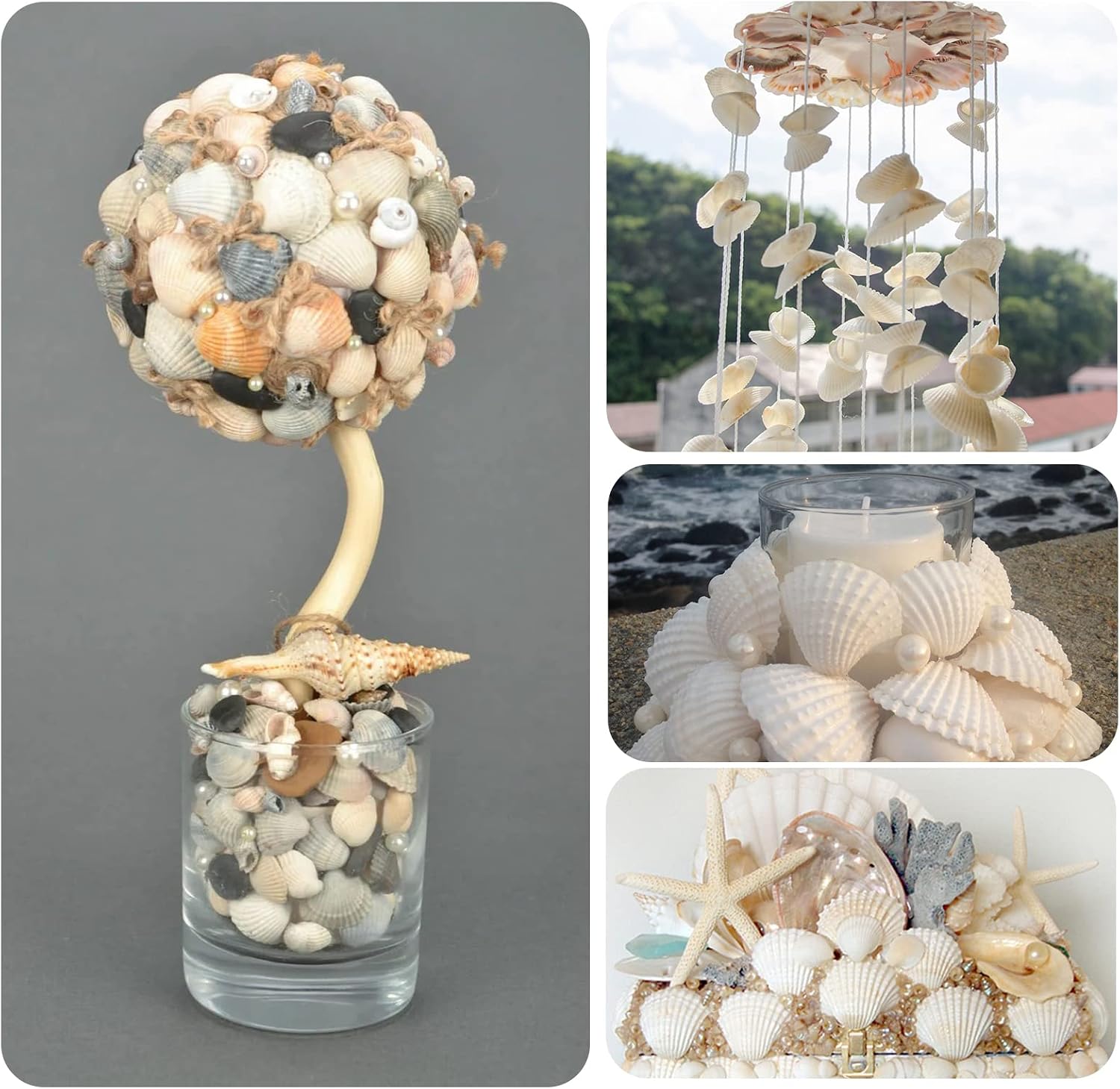 QEQEKAKA 30PCS Sea Shells for Crafts1.5''-2'' White Small Seashells Clam Scallop Shells for Crafting DIY Painting Beaching Wedding Decoration Beach Natural Bulk
