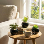 MyGift Mini Assorted Artificial Succulents in Round Black Ceramic Pots, Mixed Realistic Indoor House Plants, Set of 3