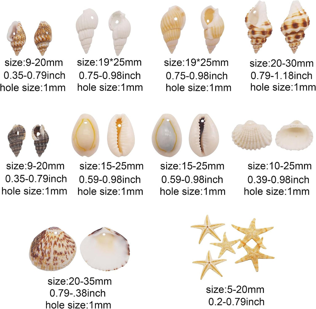 yaokan 10 Styles Natural Sea Shells & Starfish Set - Assorted Pre-Drilled Beach Seashells for DIY Crafts, Home Decor, Jewelry Making & Wedding Party Decorations