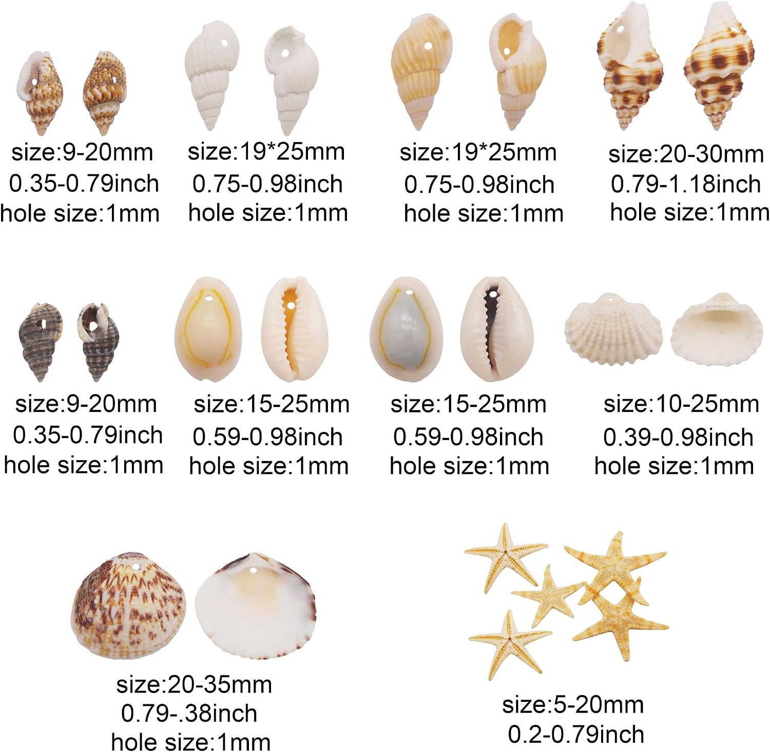 yaokan 10 Styles Natural Sea Shells & Starfish Set - Assorted Pre-Drilled Beach Seashells for DIY Crafts, Home Decor, Jewelry Making & Wedding Party Decorations