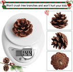 SBYURE 20 Pack 2.4 Inch Pinecones Bulk Package of Natural Pinecones Pine Cones for Crafts Home Decor Vase Filler
