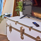 Rhino Trunk & Case Classic Large Trunk - 32"x18"x14", 1500+ lbs Capacity - Many Colors, Soft-Close Lid. Strong, USA Made Summer Camp Footlocker and Secure College Dorm Storage Chest