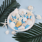 JQAQJU Sea Shells Mixed Ocean Seashells 20 Kinds, Starfish Seashells for Crafts, Various Sizes Natural Conch Sea Shells for Decorating, DIY Crafts, Vase Filler, Beach Party, Fish Tank, Home Wedding