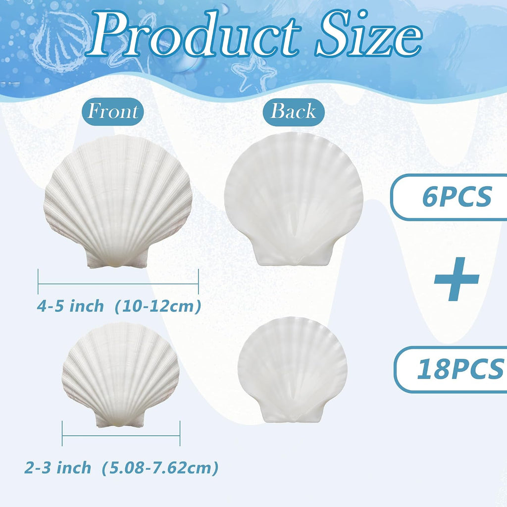 YATOJUZI 24PCS Natural Sea Shells for Crafting Decorating Scallop Seashells Vase Fillers Bulk Wholesale DIY Accessories Home Arts Decor Ornaments(6PCS 4-5inch & 18PCS 2-3inch)