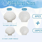 YATOJUZI 24PCS Natural Sea Shells for Crafting Decorating Scallop Seashells Vase Fillers Bulk Wholesale DIY Accessories Home Arts Decor Ornaments(6PCS 4-5inch & 18PCS 2-3inch)