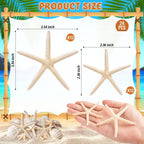 24 Pcs Starfish for Crafts, 2'' to 4'' Star Fish Shells Decorations, Natural Starfish Decor Bulk for Beach Theme DIY Crafts Christmas Tree Ornaments