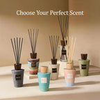 Airkeep Reed Diffuser Set, Cedar Wood 5.1 fl oz (150 ml), Long Lasting Home Fragrance with Reed Diffuser Sticks, Decorative Room Diffuser for Bathroom, Bedroom, Living Room & Office