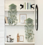 Mkono Fake Hanging Plants in Farmhouse Galvanized Pots Rustic Faux Potted Eucalyptus Greenery Indoor Artificial Plants for Book Shelf Mantel Living Room Bathroom Bedroom Home Office Decor (2, Grey)