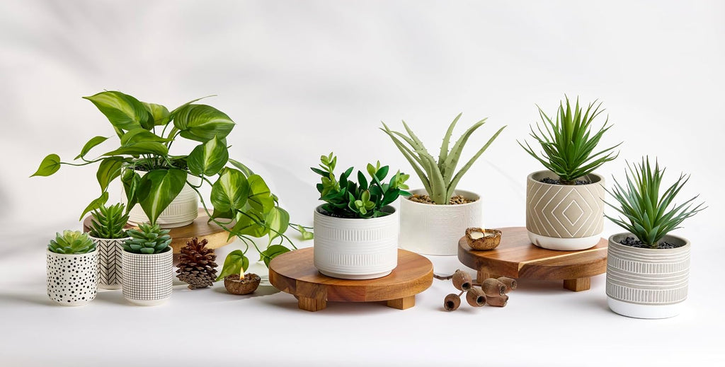 Kurrajong Farmhouse footed wooden tray | wood pedestal stand | 10" wide and 2" high round riser board | acacia wood pedestal board | plant holder