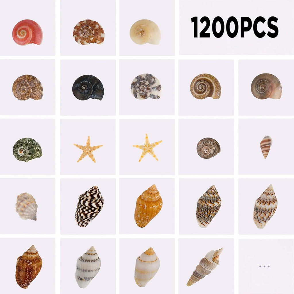 1200 PCS Tiny Seashells & 21 Starfish Mixed 18 Kinds Bulk Beach Small Shells for Home Decor, Beach Theme Party Decor, Fish Tank Aquarium, Sea Shells for Crafting Vase Filler, Beach Candle