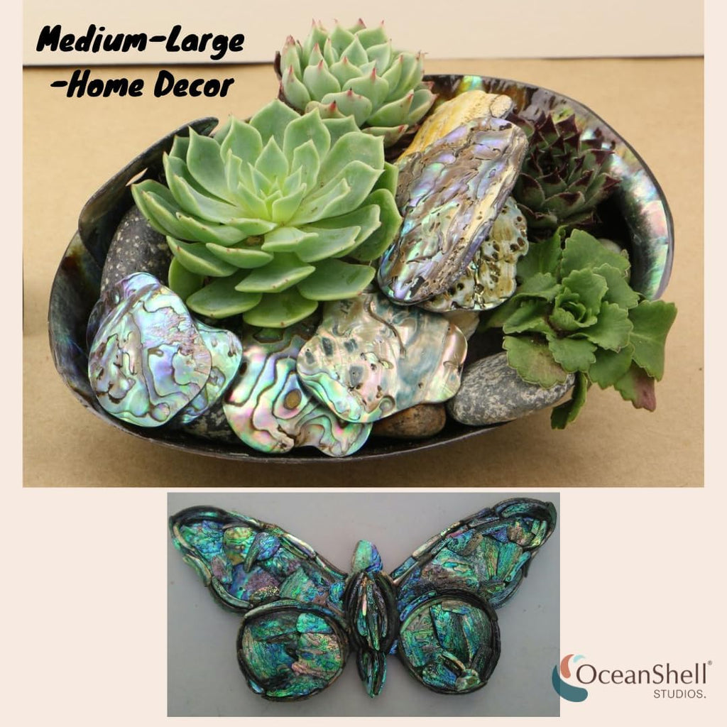 Abalone (Pāua) Shell Pieces-7.05oz Pack-for Crafts, Jewelry Making, Resin Art, Inlay, Home Decorations, Fishtank Supplies, DIY Projects - Satin, Medium Medium Size 1"- 1.58" 7.05oz (200grams)