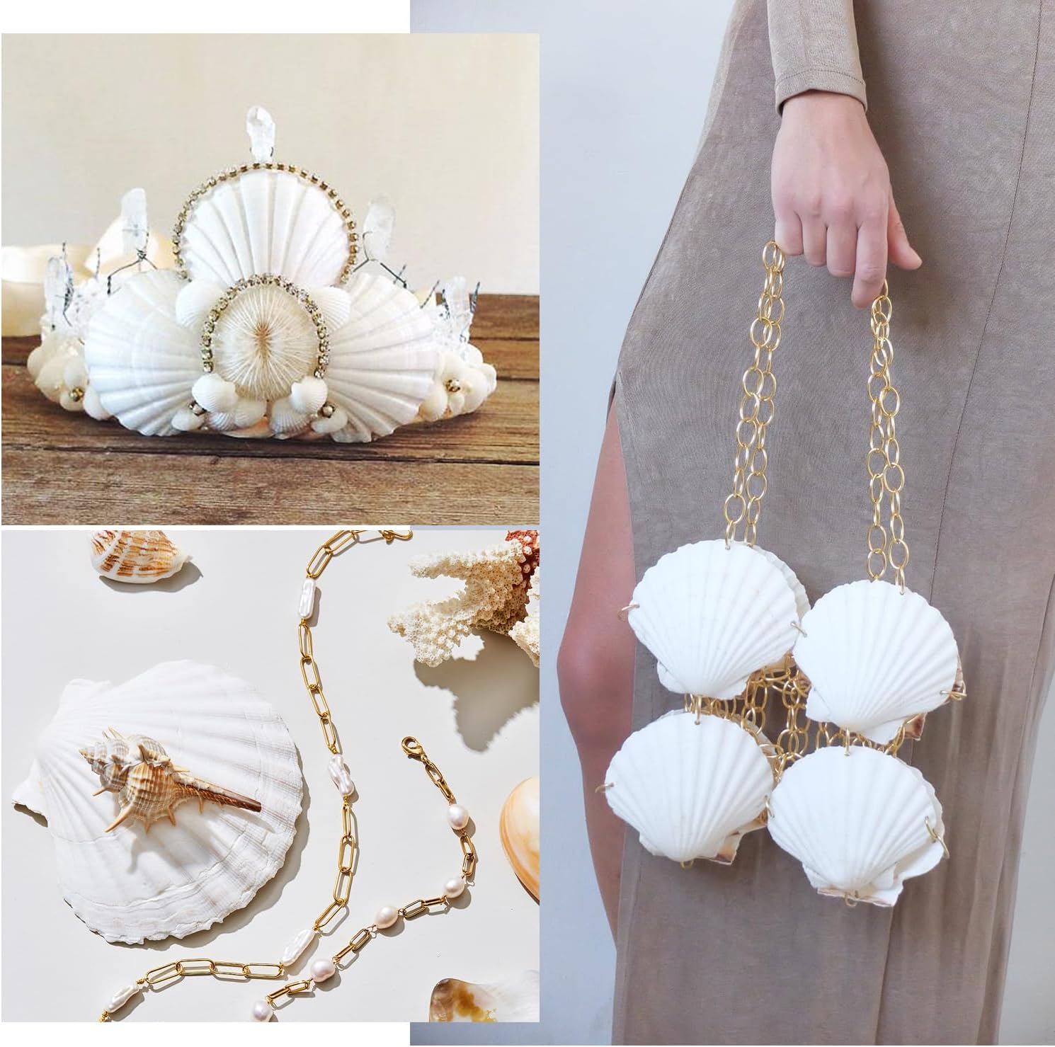 Jangostor 20 PCS Scallop Shells Natural Seashell, 2.3" to 3.5" White Scallop Shells Large Seashells for Crafts Wedding Decor Beach Theme Party, Fish Tank and Vase Filler